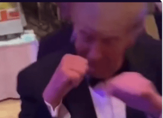 OMG! Watch Trump Show Off Alpha Male Boxing Skills After Guest Identifies As Champion