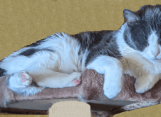 Wacky Wednesday Critters – We Go High