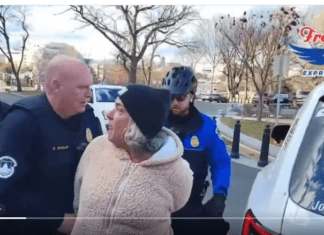 Ashli Babbitt’s Mother Just Got Arrested