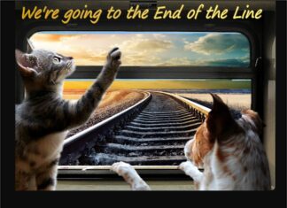 Furkids: Traveling With The Wilburys