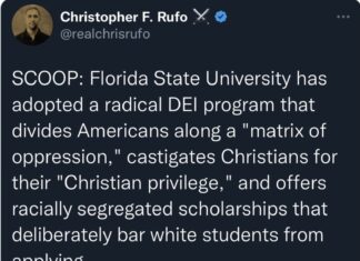 Having Cowed New College of Florida, DeSantis Unleashes Attack Dog on FSU
