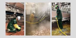 ‘Acid Burns and Missing School,’ Company Fined for Employing 102 ‘Child Workers’ Aged 13-15, Cleaning Slaughterhouses