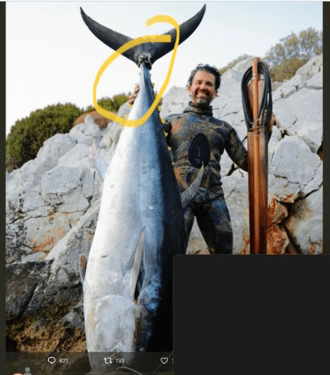Don Junior big fish