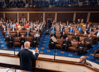 Jim Jordan Wants You To Watch Real Housewives Of New Jersey and Not Biden. Seriously