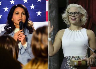 Highly Disturbing Revelation: Sinema Paid Over $300,000 to Tulsi Gabbard’s Sister for ‘Security’