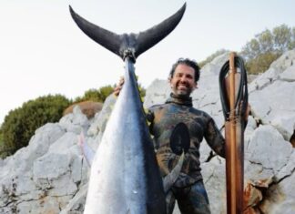 Don Junior Has a Fish Story I Want to Analyze