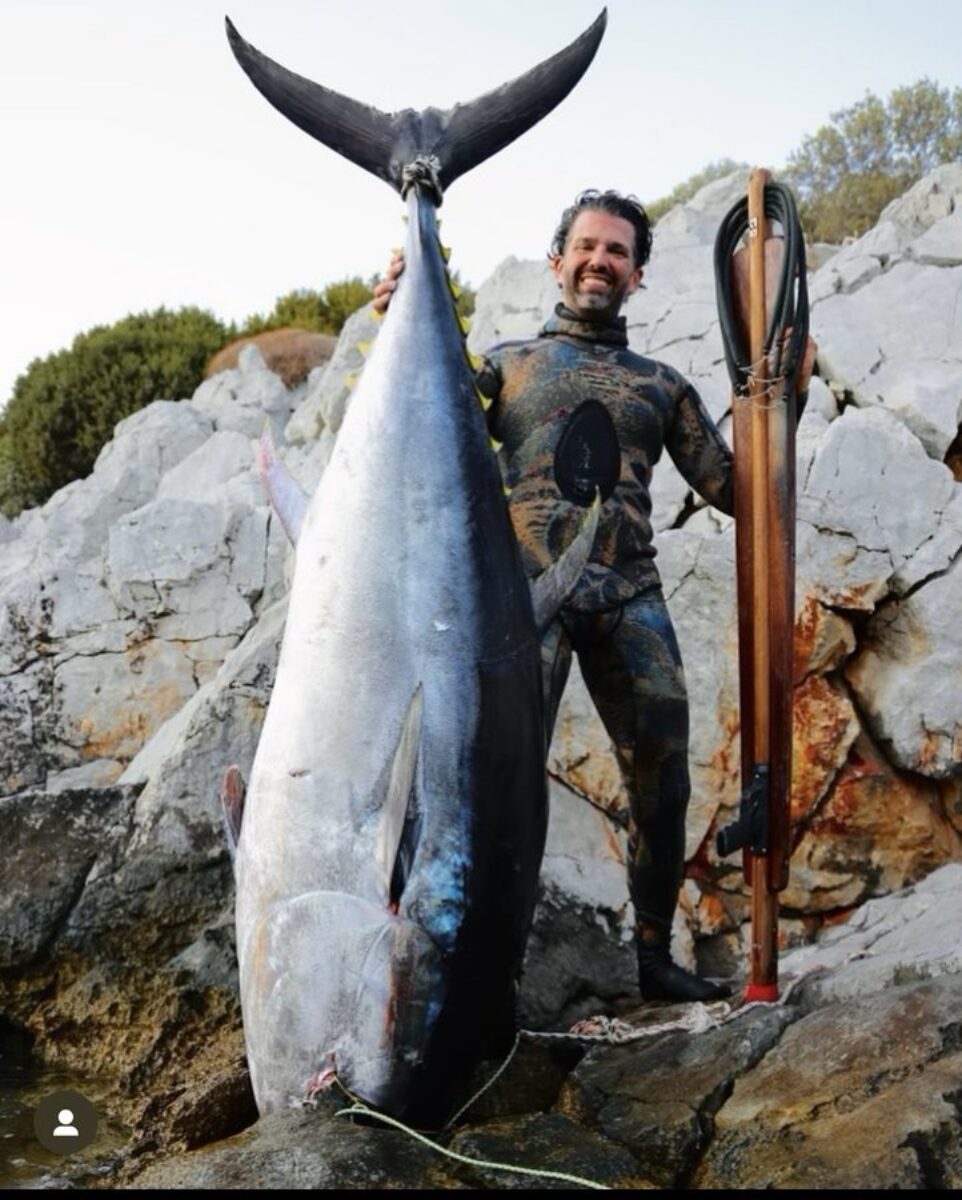 Tuna