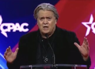 Steve Bannon’s Chinese Sugar Daddy Arrested in $1B Fraud Conspiracy