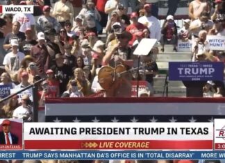 Whacko in Waco – Pedophile Ted Nugent Calls Ukraine President “Homosexual”