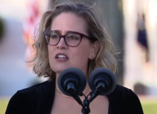 Sinema Finds a New Level to Infuriate Democrats: ‘Old Dudes Eating Jello’