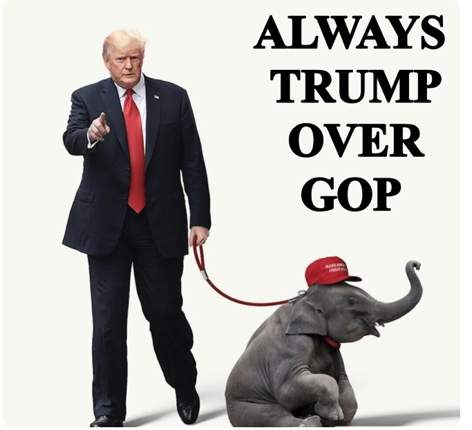 Trump baby elephant meme