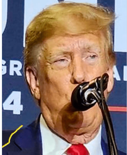 Trump microphone