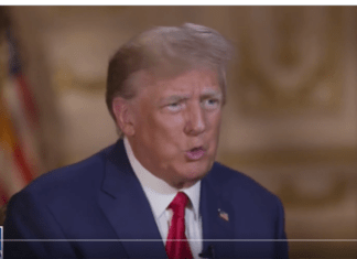 Daily Show Takes Trump Back To His Game Show Roots. Is This Our Future?