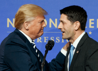 Bannon Wants Secret Service To Investigate Paul Ryan For Assassination Plot Against Trump