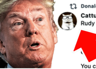 Mike Lee Asks Catturd If He’s Running For Prez In 2028. Not A Parody Account