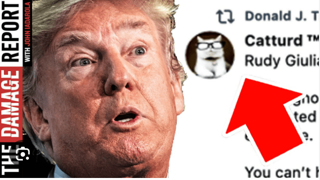 Trump Catturd
