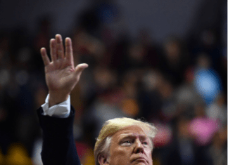 Read Trump Plans To ‘Take Over All Three Branches For A Generation’