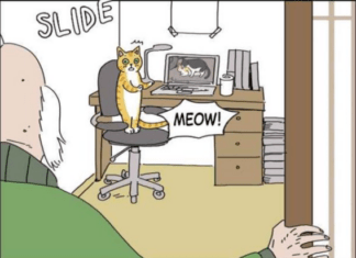 ‘Cat Pervert’ Trending On Twitter, Karen Calls the Cops, Of Course