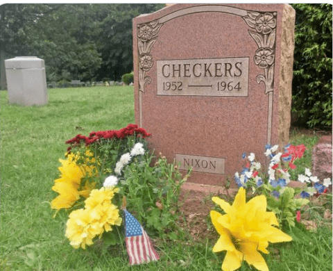 Checkers grave