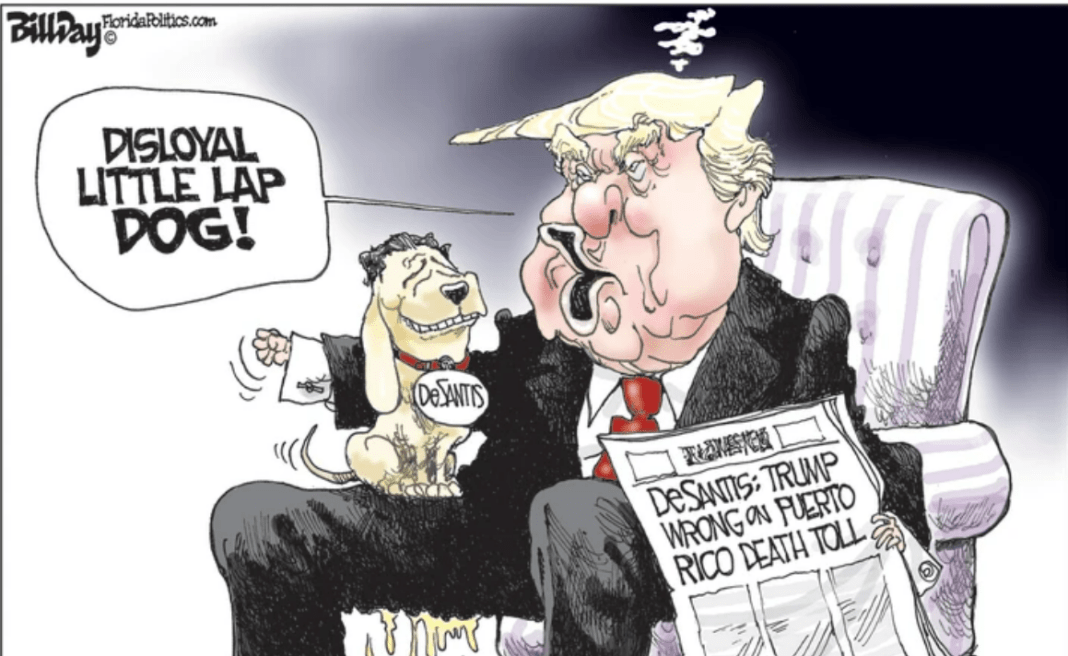 Trump DeSantis lap dog