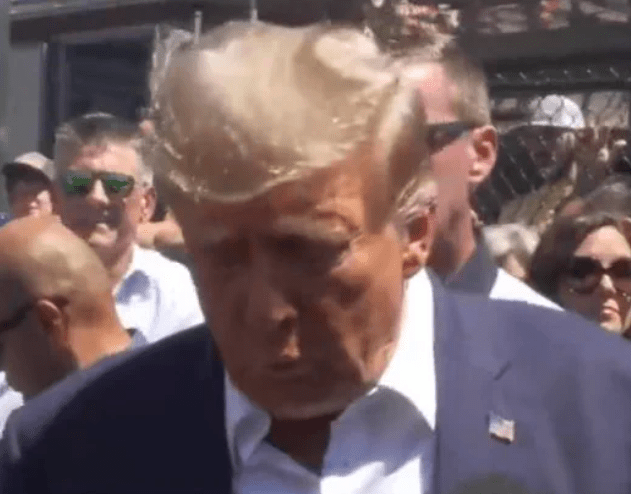 Trump bad hair