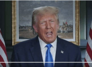 Trump’s Primal Scream Explained: The DeSantisexuals Are After Him