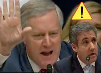 Meadows Is Trying Cohen’s Partial Cooperation Gambit – It Won’t End Well