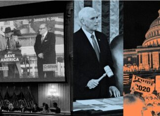 This Is Rich. John Eastman Compares Mike Pence On J6 To A Potted Plant