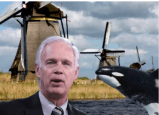 George Conway Wants To Raise Taxes To Buy Ron Johnson Brain Cells