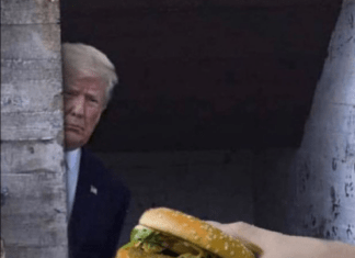 Trump Orders Yuge McDonald’s Delivery Sent To Court