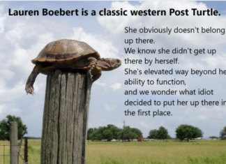 Boebert Is Back To Cocky Again, Now She’s Plagiarizing Trump