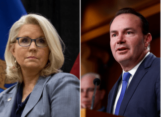 Mike Lee Has Done Lost His Mind. He’s Attacking Cheney After He’s Been Debunked, His New Hero Is Milei