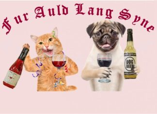 Furkids: Fur Auld Lang Syne