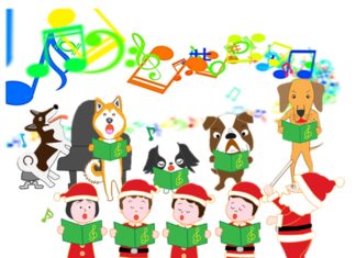 Furkids Deck The Halls