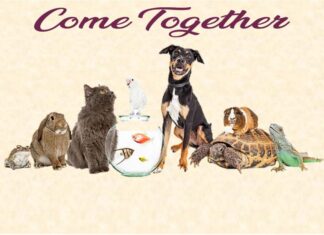 Furkids 2024 Theme: Come Together and Help Each Other