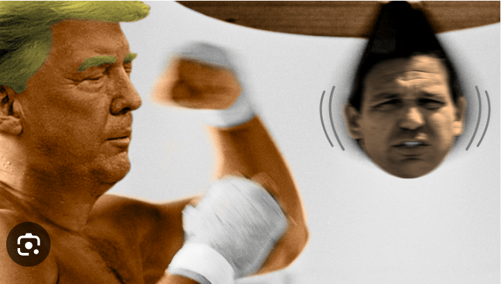 DeSantis Trump boxer