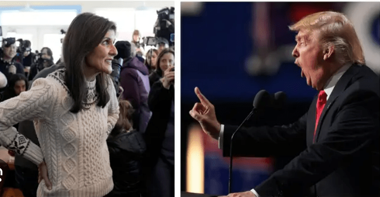 Haley Trump mash angry