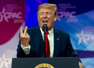 ‘This Country Needs A Dictator’ Brays MAGA ‘We Need A Paddling’