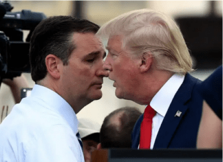 The Bromance Made In Hell Hatched A Wild Scheme Last Night