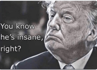 Trump’s 33% Loss Goes Unreported, the Focus Is On Biden’s Uncommitted 13% In Michigan