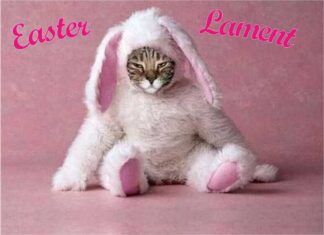 Furkids: The Easter Lament