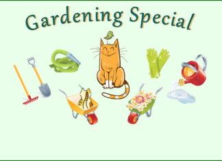 Furkids Welcome the Spring and Autumn Equinoxes