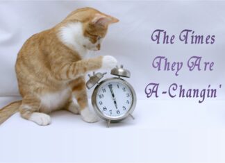 Furkids Changing Time