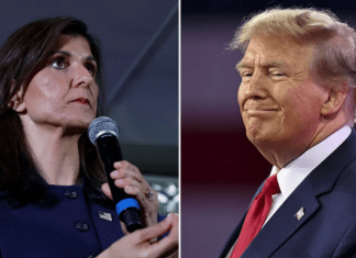 Rick Wilson Shares the Time Trump Tried To Hire Him, What Haley Is Now Up Against
