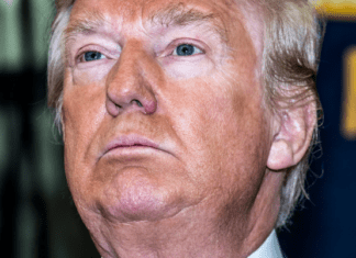 Audio Obtained Of Trump’s VP Choices Shows His Next Move