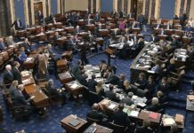 Dems Poll At 53% To Win Senate