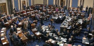 Dems Poll At 53% To Win Senate
