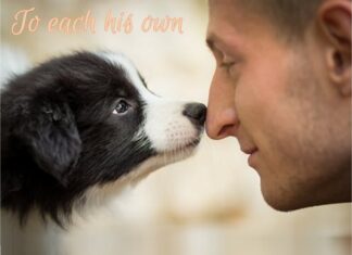 Furkids: We All Need Someone
