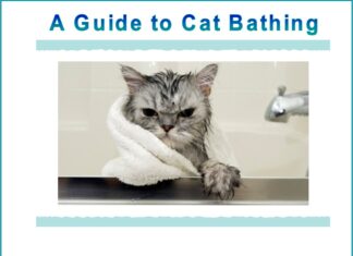 Furkids: The Martial Art of the Bath