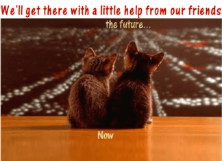 Furkids: With a Little Help